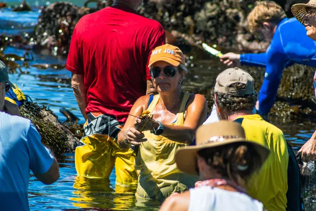 Edible Shores (PTY) Ltd