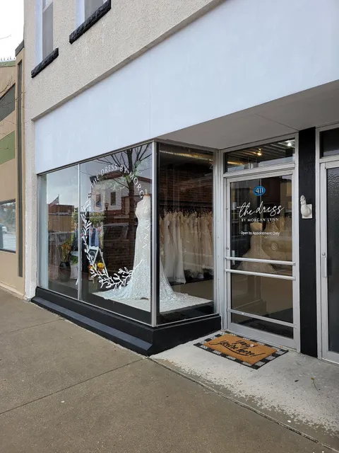 The Dress by Morgan Lynn