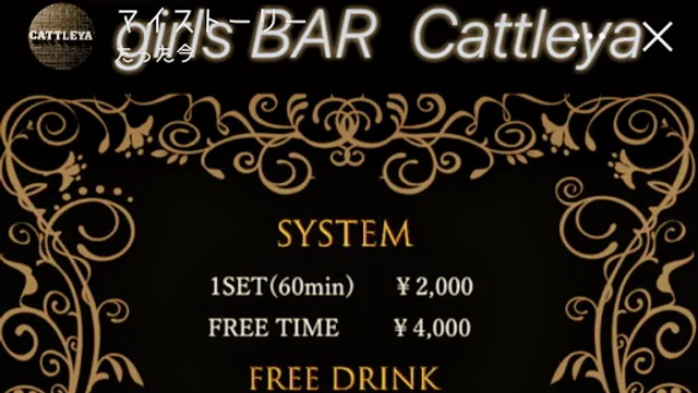 BAR Cattleya バー カトレア