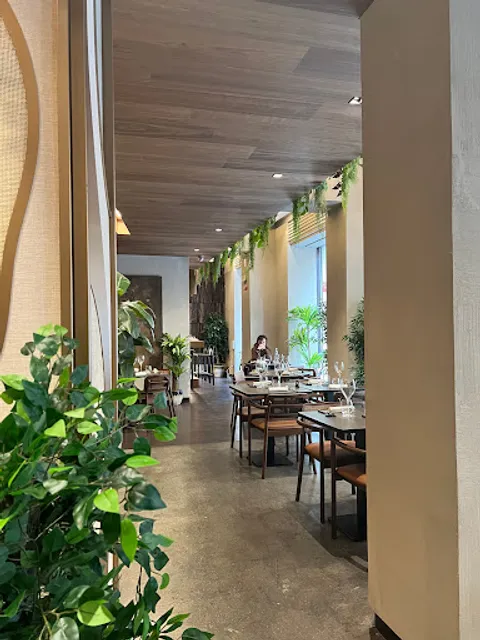 Flamingo - Mediterraneo