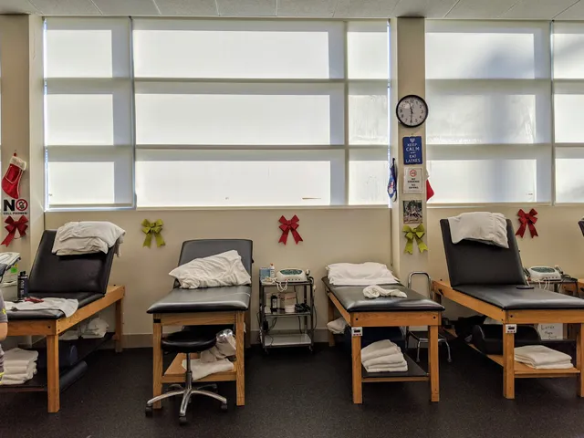 Professional Physical and Hand Therapy - Manhasset/Great Neck NY