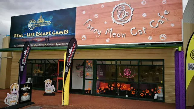 Fancy Meow Cat Cafe