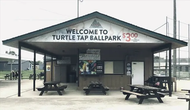 Turtle Tap