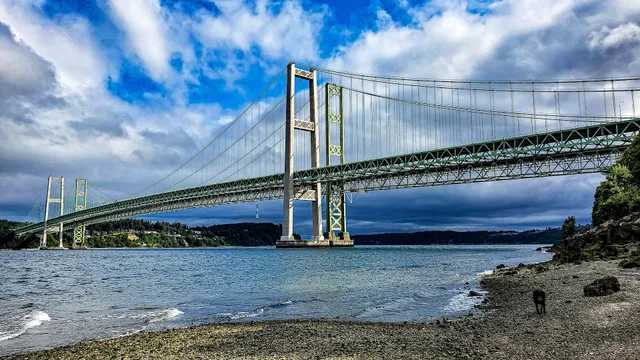Tacoma Narrows Bridge