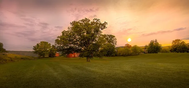 Grovedale Winery & Vineyards