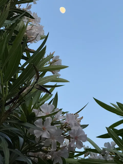 Plaza Manuel de la Quintana