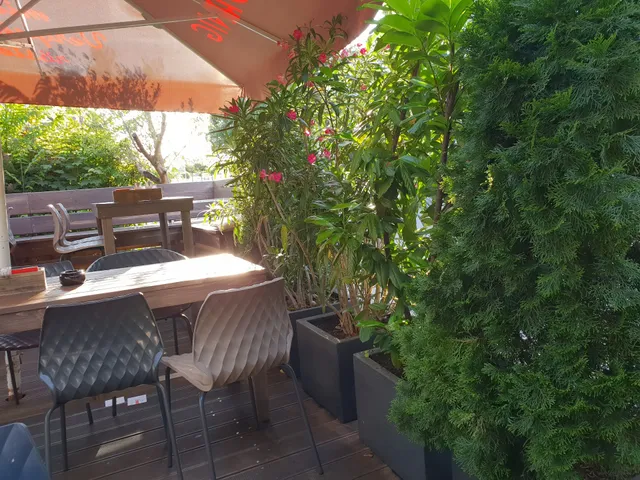 photo-1