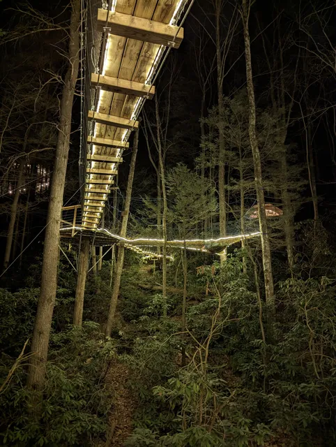 Turtle Dome Treehouse