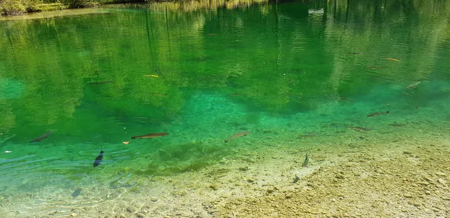 Ferienwohnung Bluntaumühle