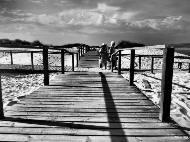 Aveiro Panoramic, 52318/AL,