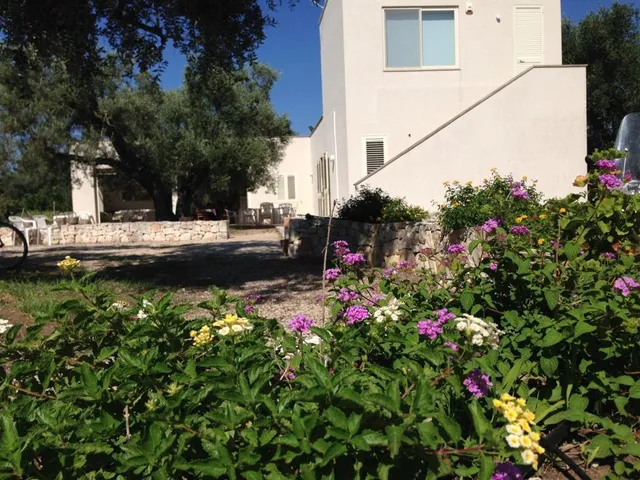 B&B Finestre Tra Gli Ulivi