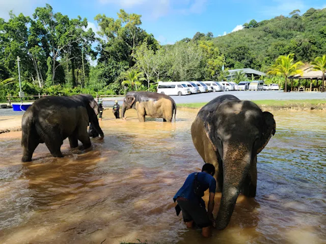 Green Elephant Sanctuary Park