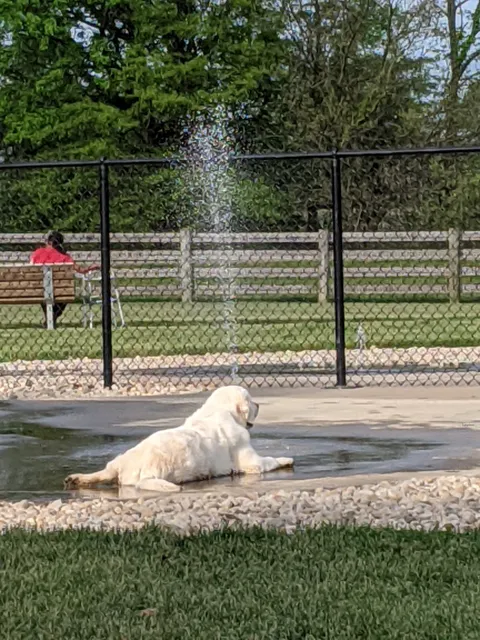 Rocky Fork Dog Park