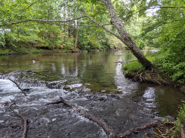 Delbert Hunter Arboretum and Botanical Garden