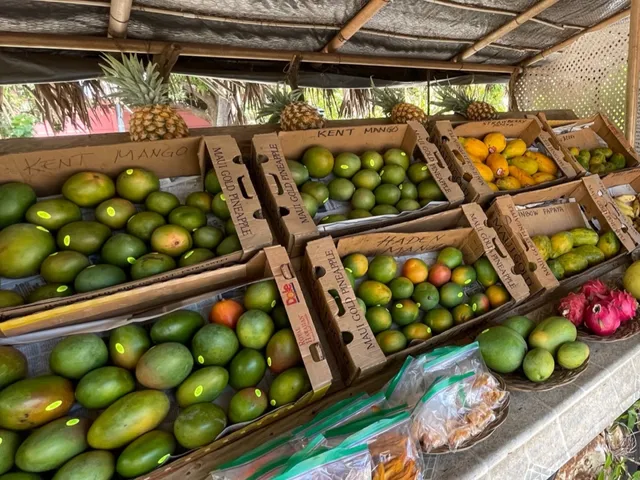 Yee’s Orchard and Fruit stand