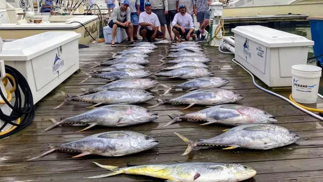 Knot Tell'n Fishing Charters
