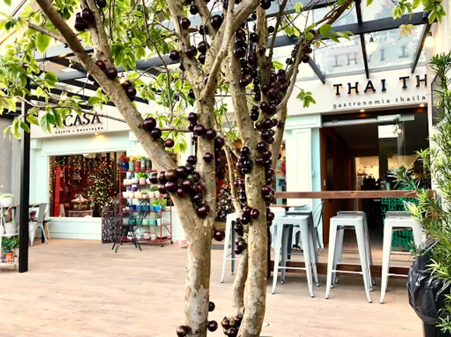 Thai Thai Gastronomia Thailandesa