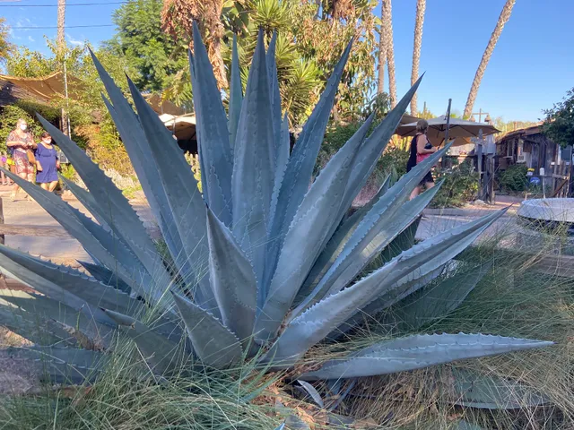 Los Rios Butterfly Garden