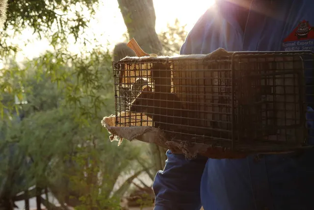 Animal Experts, Inc.