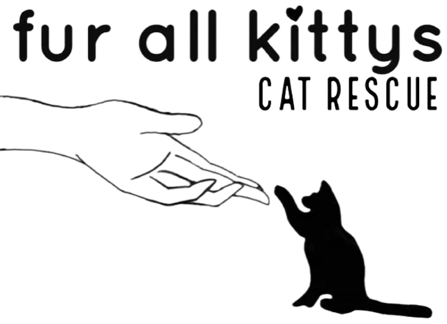 Fur All Kittys
