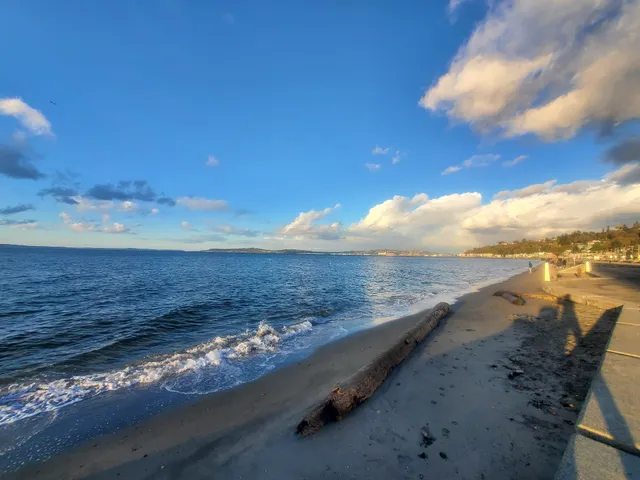 Alki Beach Park Bathhouse Lawn Outdoor Event Space