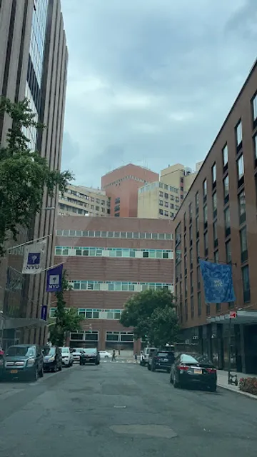 School of Visual Arts