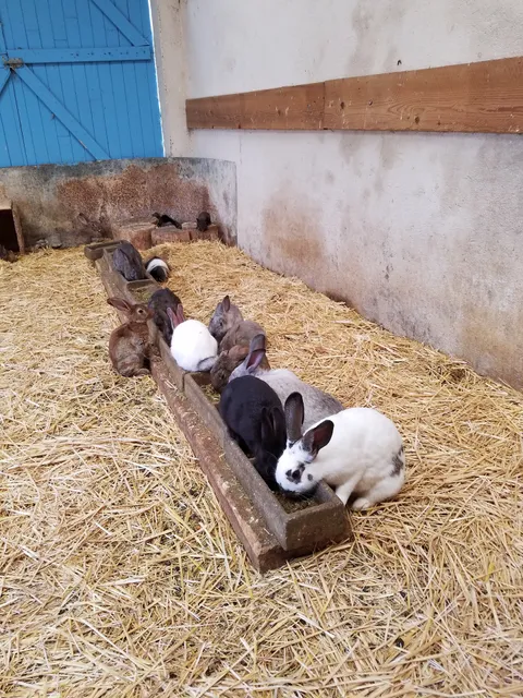 Holiday Center La Ferme De Pégase