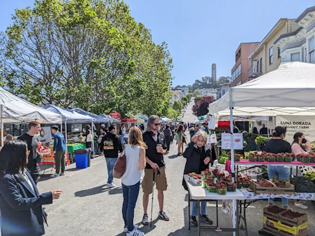 North Beach Farmers Market