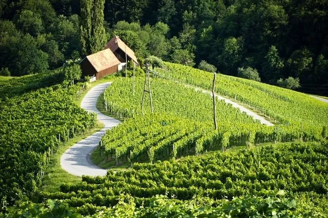 Matjaževa ponudba s.p.- Fairytale wooden house by Ljubljana