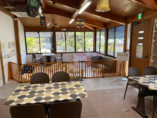 保護犬＆猫カフェ しっぽの森