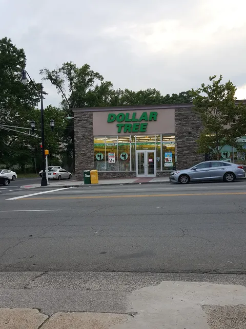 Dollar Tree