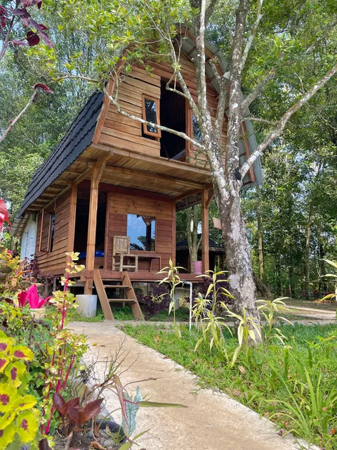 Jungle Vibes Bungalows