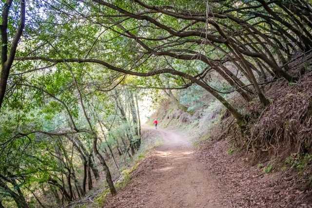 Limekiln Trail, Los Gatos CA