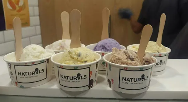 Naturals Ice Cream