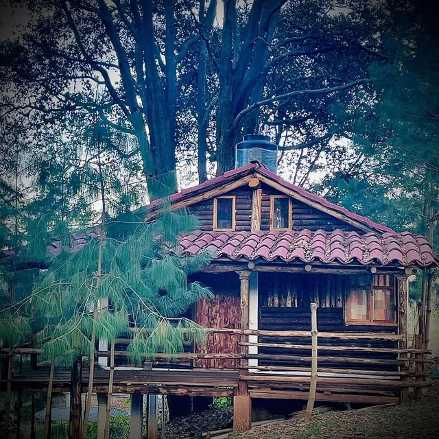 Cabañas Bosque Encantado
