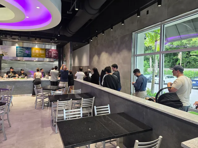 Olive U Mediterranean Grill