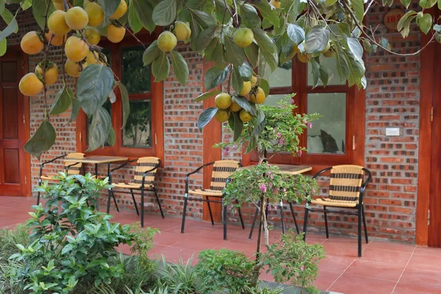 Tam Coc Thanh Dat Homestay