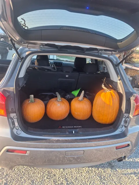 Cole's Fresh Vegetable Market