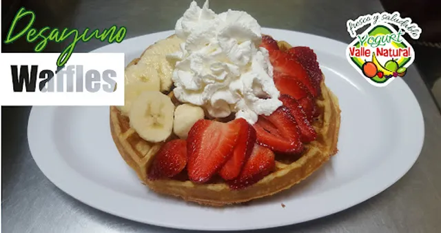 Yogurt Valle Natural