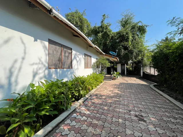 Mambo & Jambo Homestay