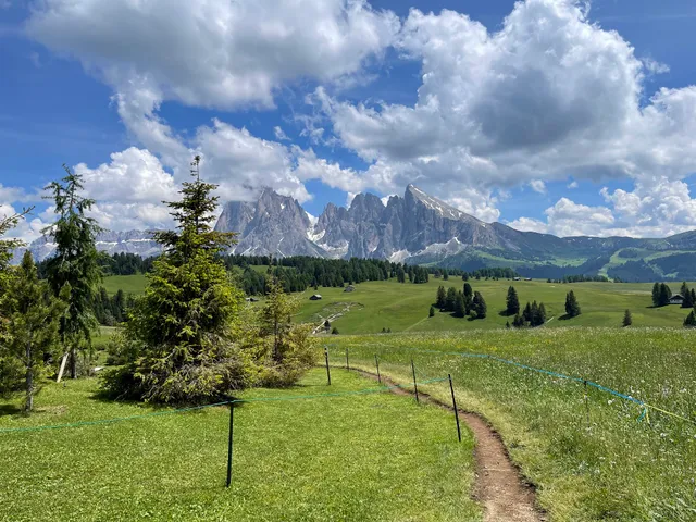 Monte Piz Alpe di Siusi