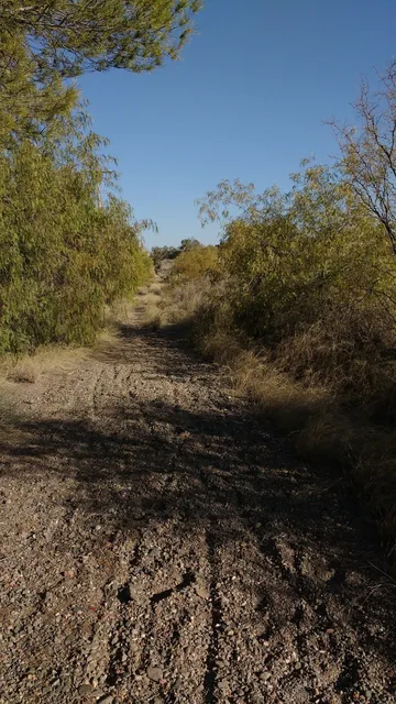 Reserva natural Flecha nativa