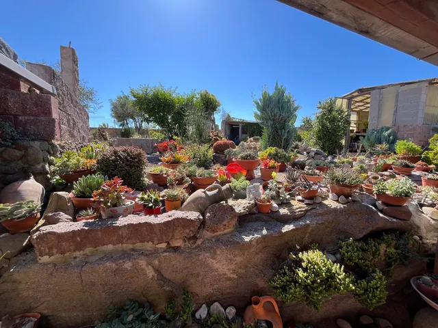 Casa Vacanza Ligustro