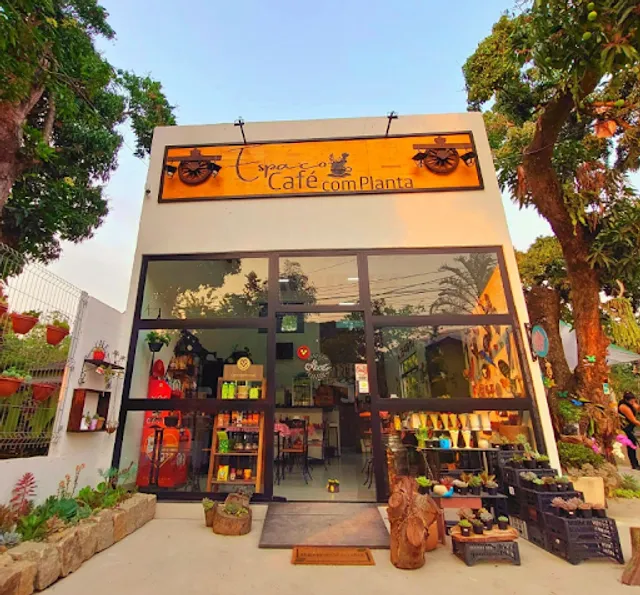 Café com Planta