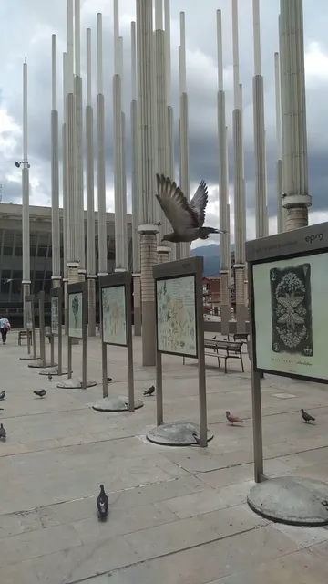 Plaza de las Luces Medellin.