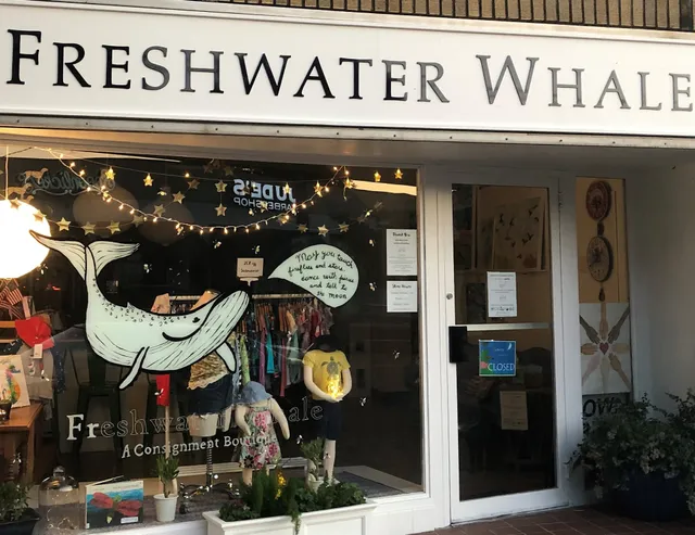 Freshwater Whale Boutique
