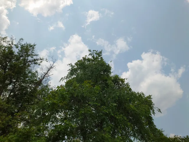 Ernst Bike Trail Bailey Trailhead
