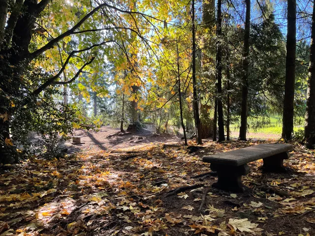 Mountlake Terrace Off-Leash Dog Park