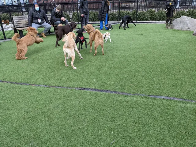 108 First Street Dog Park