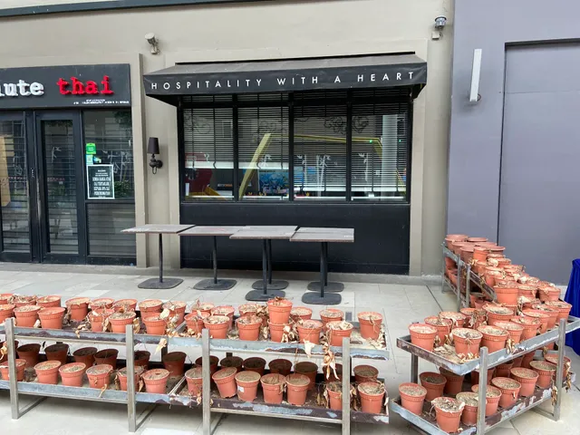 Absolute Thai Sunway Big Box